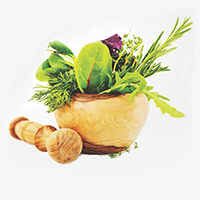 گیاهان دارویی